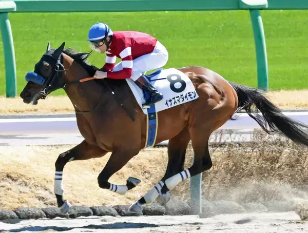 ５戦連続２着→９馬身差圧勝の３歳馬にネット歓喜「ここまで化けるか」「圧勝してて草」　中山４Ｒのイナズマダイモン