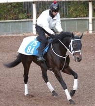 【マーチＳ】１枠１番ハピが右前ザ石のため出走取消