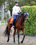 「【Ｇ１トク捜リレー】メンタル面優先であえて“美浦残留”決めたジッピーチューン　林調教師は「残って正解」と手応え　桜花賞」の画像1