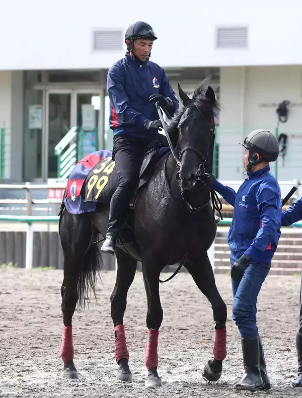 【青葉賞】２戦２勝のノーブルサヴェージは７枠１５番　アザレア賞勝ち馬のブラックオリンピアは２枠４番　枠順確定