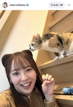 森千晴アナが猫に！？アレンジヘアに「ニャンコよりも ニャンコに見える」「この耳は…」「かわいいにゃん」