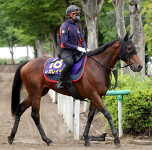 【宝塚記念・特選有力馬チェック】レガレイラは買うべき？
