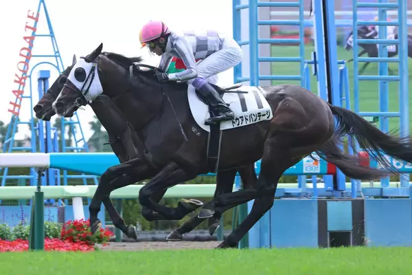 【函館７Ｒ・３歳上１勝クラス】「大外は回さなかった」“レジェンド”武豊騎手がドウアドバンテージで鼻差Ⅴ