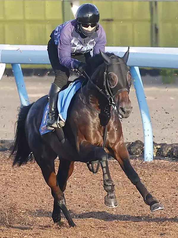 【七夕賞】“七夕馬券”枠連７―７は８番人気の２０・２倍と人気集める　単勝１番人気はカラマティアノスの４・７倍　
