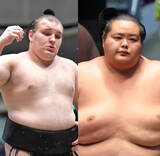 「【５日目見所】大関復帰、カド番脱出に向けて大一番、５日目に早くも安青錦―琴桜の好取組　ファンからは「早すぎる」「もったいない」の声も挙がる」の画像1