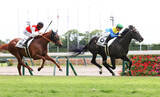 「【中京３Ｒ・２歳新馬】コントレイル産駒で福永祐一厩舎のドラゴンバルド、快勝デビューで「２億６０００万円馬」の片りん」の画像1