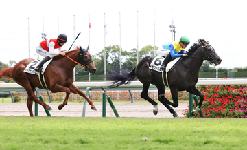 【中京３Ｒ・２歳新馬】コントレイル産駒で福永祐一厩舎のドラゴンバルド、快勝デビューで「２億６０００万円馬」の片りん