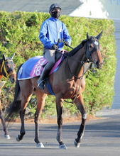 【注目馬動向】関東オークスで重賞初制覇のオルフェーヴル産駒　ペンダントはブリーダーズゴールドＣで連勝目指す