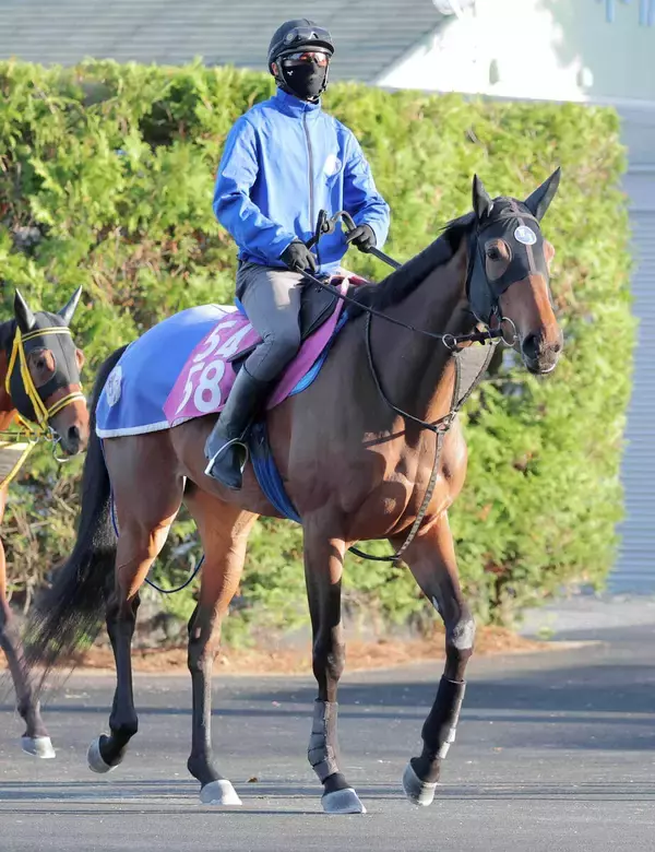 【注目馬動向】関東オークスで重賞初制覇のオルフェーヴル産駒　ペンダントはブリーダーズゴールドＣで連勝目指す