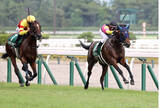 「【新潟２歳Ｓ】レッチュベルクが２連勝で重賞初Ｖ　「代打だったのですが…」１１年ぶり２度目制覇の田辺裕信騎手」の画像1