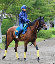 【新潟２歳Ｓ】レッチュベルクが２連勝で重賞初Ｖ　田辺裕信騎手は１１年ぶり２度目の勝利