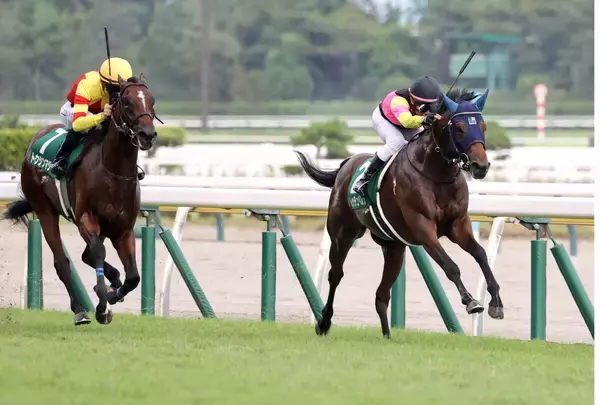 【新潟２歳Ｓ】レッチュベルクが２連勝で重賞初Ｖ　「代打だったのですが…」１１年ぶり２度目制覇の田辺裕信騎手