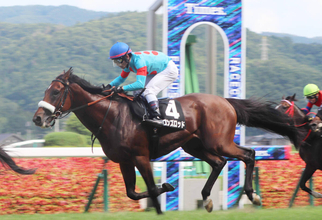 【１９日の注目・中山１０Ｒ】名牝アーモンドアイの息子アロンズロッド　募集価格２・４億円の高額馬が２勝クラス突破へ
