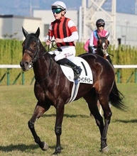 日曜新潟競馬場の注目激走馬…新潟１１Ｒ新潟牝馬ステークス（Ｌ）