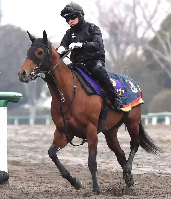 ２５年、２６年フェブラリーＳ連覇のコスタノヴァが引退、種牡馬入り　社台グループオーナーズが発表