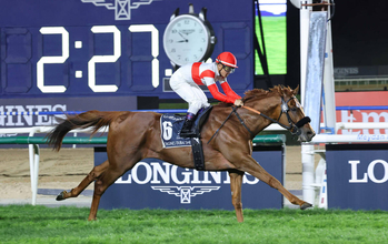 「ベリーベリーホース」で新しい自分を…戸崎圭太騎手が２０２５年度の東京競馬記者クラブ賞