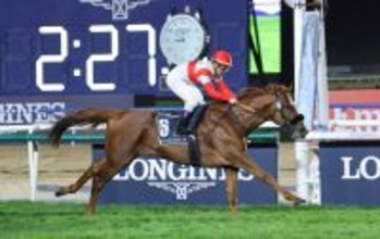 「ベリーベリーホース」で新しい自分を…戸崎圭太騎手が２０２５年度の東京競馬記者クラブ賞