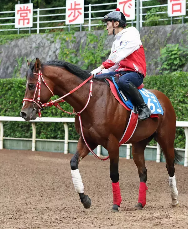 【注目馬動向】アメリカンステージは芝路線へ変更も選択肢　矢作調教師「ベントルナートがくるとなると…」
