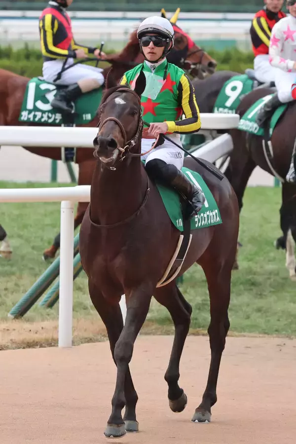 【京都金杯】「あまりうまく乗れませんでした」吉村誠之助騎手バースデー重賞Ｖならず　１番人気ランスオブカオスは５着