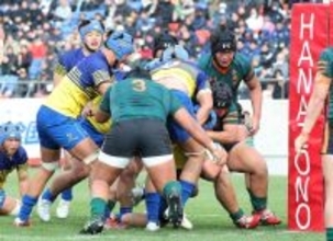 京都成章が初優勝に王手！　東福岡から計６トライの猛攻で３８―１９、５季ぶり決勝は桐蔭学園―大阪桐蔭の勝者と