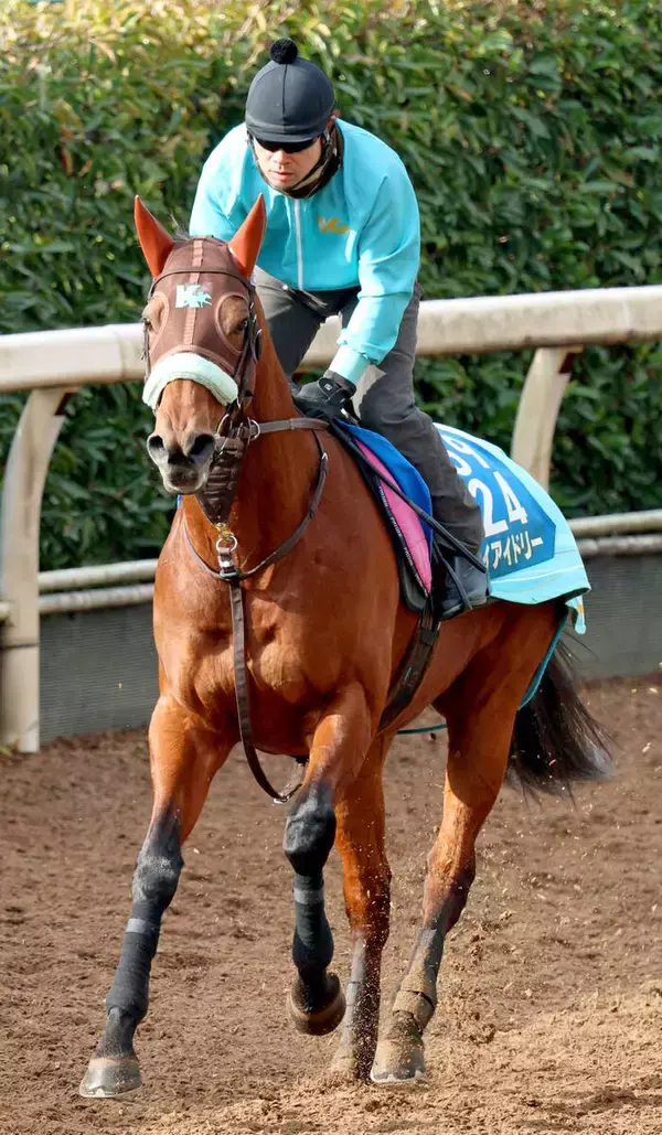 【根岸Ｓ】９歳馬ケイアイドリーが１年５か月ぶりに戦列復帰　前川調教師「動きを見るとオープン馬だな、と思います」