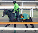 「【注目馬動向】フレグモーネにより報知杯弥生賞を回避のオルフセンは青葉賞を新たな目標に」の画像1