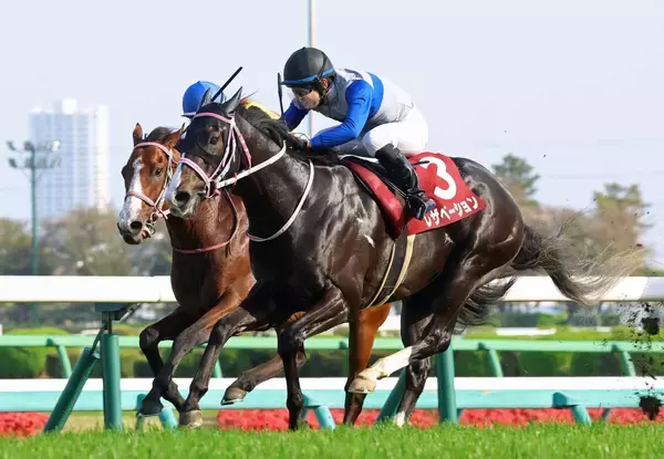 【注目馬動向・３歳】ニュージーランドＴを勝ったレザベーション　引き続き原優介騎手とのコンビでＮＨＫマイルＣへ