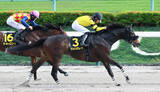 「【オアシスＳ】得意の左回りでドンインザムードが一騎打ち制す　荻野極騎手「すごく充実している」」の画像1