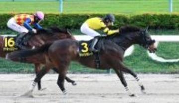 【オアシスＳ】得意の左回りでドンインザムードが一騎打ち制す　荻野極騎手「すごく充実している」