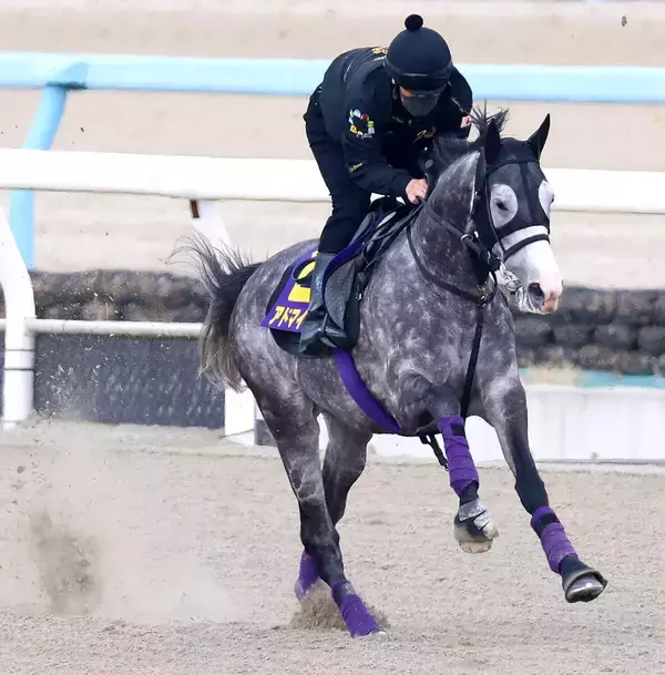 【天皇賞・春】アドマイヤテラはＤＰ追いで態勢万全　友道調教師「アドマイヤの勝負服で武豊ジョッキーが乗って勝ちたい」