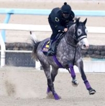 【天皇賞・春】アドマイヤテラはＤＰ追いで態勢万全　友道調教師「アドマイヤの勝負服で武豊ジョッキーが乗って勝ちたい」