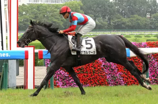 ５・２億円馬が無念の春から待望の２勝目奪取に歓喜「希望の光が見えた」「秋の大舞台へ」　阪神７Ｒのサガルマータ貫録Ｖ