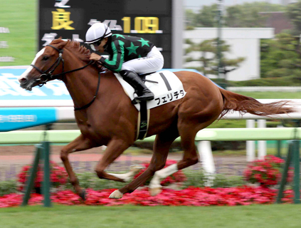 【函館５Ｒ・２歳新馬】フェリチタが逃げ切りＶ　タワーオブロンドン産駒が上位独占　順調なら函館２歳Ｓへ