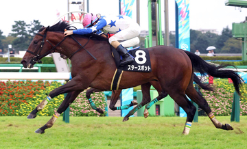 【芙蓉Ｓ】スタースポットがエフフォーリア産駒のＯＰ勝ち一番乗り　林調教師「これからますます先が楽しみ」