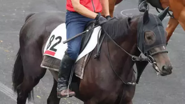【京都５Ｒ・２歳新馬】藤田晋オーナーの１・７億円馬キューティボンドがデビューＶ　福永調教師「これからが楽しみ」