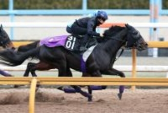 【きさらぎ賞１週前】セレクト５・９億円馬エムズビギンはラスト１０秒９！友道調教師「走りのバランスが良くなった」