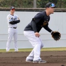 【阪神】昨季ゴールデン・グラブ初受賞の佐藤輝明が早出特守、藤川球児監督らも見守る中で約３０分間