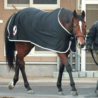 【ダイヤモンドＳ】３８年ぶり牝馬Ｖへ　ステイヤーズＳ覇者ホーエリート重賞連勝だ　陣営「目標は天皇賞・春」
