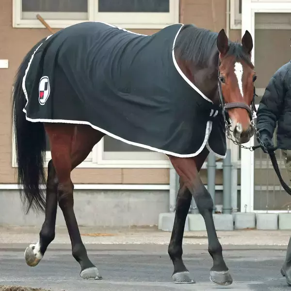 【ダイヤモンドＳ】３８年ぶり牝馬Ｖへ　ステイヤーズＳ覇者ホーエリート重賞連勝だ　陣営「目標は天皇賞・春」