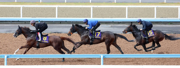 【皐月賞】上原佑紀厩舎が豪華３頭併せ　フォルテアンジェロとライヒスアドラーは併入