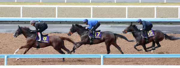 【皐月賞】上原佑紀厩舎が豪華３頭併せ　フォルテアンジェロとライヒスアドラーは併入