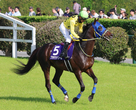 【中山グランドＪ】ＪＧ１ラストラン石神深一騎手のプラチナドリームは８着　「楽しい思いをさせてもらいました」