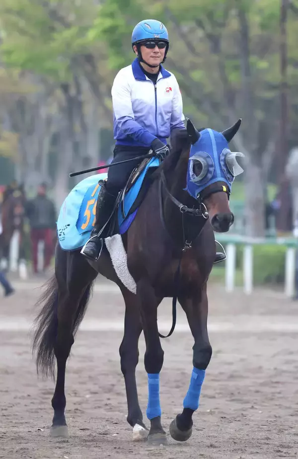 【中山グランドＪ】ＪＧ１ラストラン石神深一騎手のプラチナドリームは８着　「楽しい思いをさせてもらいました」