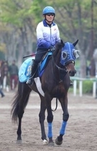 【中山グランドＪ】ＪＧ１ラストラン石神深一騎手のプラチナドリームは８着　「楽しい思いをさせてもらいました」