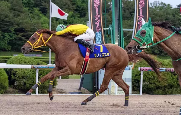 【佐賀・ヴィーナスＣ】不良馬場の決戦　サノノエスポが重賞初勝利　エスポワールシチー産駒の６歳牝馬が遅咲きのタイトル奪取