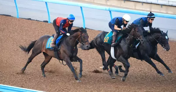 【アイビスＳＤ・１週前】千直３度目の正直！バグラダスが８１秒８の好時計　嘉藤調教師「あきらめきれないです」