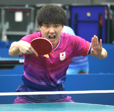 【卓球】エース・張本智和が２戦目で初出場＆貫禄勝利　決勝Ｔ進出にトヨタの上司も駆けつけ「表彰台の一番高い」６０年ぶり快挙へ…アジア大会