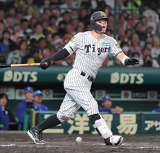 【阪神】佐藤輝明にアクシデントか　８回の打席で左太もも付近に自打球直撃→直後の守備で交代