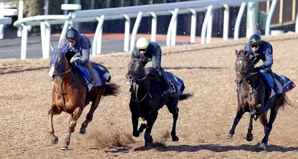【東京大賞典１週前】Ｊｐｎ１連勝中のミッキーファイトは３頭併せで最先着　陣営「よく持ち直した」