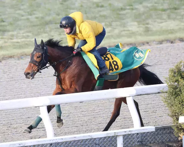 【小倉牝馬Ｓ】実績上位のココナッツブラウンは坂路で微調整　上村調教師「４５０キロ台で出られれば」馬体重がカギに